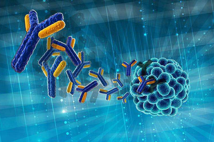 赛伦生物重组全人源抗EGFR单克隆抗体注射液获得临床试验批件